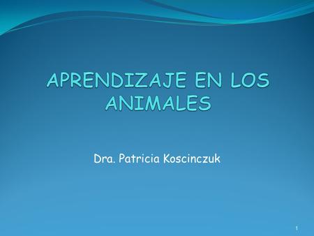 APRENDIZAJE EN LOS ANIMALES