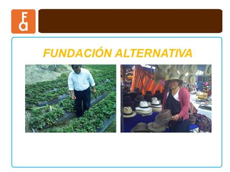 FUNDACIÓN ALTERNATIVA. PRODUCTOS DE MICROCREDITO.