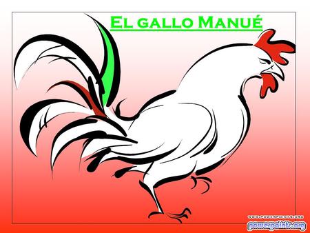 El gallo Manué.
