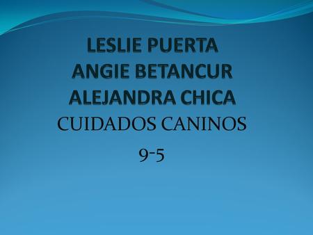CUIDADOS CANINOS 9-5. NUESTRA EMPRESA HACE LO MEJOR POSIBLE PARA QUE SUS MASCOTAS TENGAN UNA BUENA ATENCION MEDICA Y HOSPITALARIA.