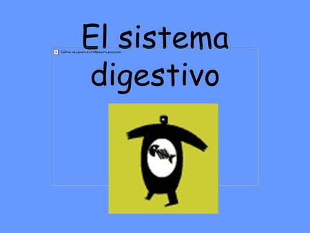 El sistema digestivo Alza tu mano si desayunaste esta mañana.