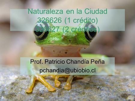Naturaleza en la Ciudad 326626 (1 crédito) 326627 (2 créditos) Prof. Patricio Chandía Peña