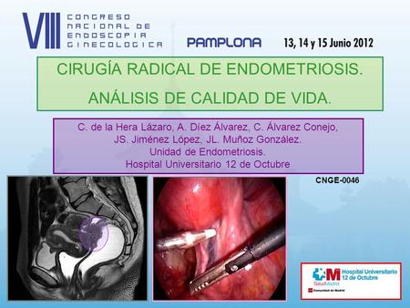 CIRUGÍA RADICAL DE ENDOMETRIOSIS. ANÁLISIS DE CALIDAD DE VIDA. C. de la Hera Lázaro, A. Díez Álvarez, C. Álvarez Conejo, JS. Jiménez López, JL. Muñoz González.