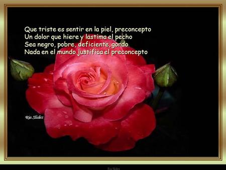 Que triste es sentir en la piel, preconcepto Un dolor que hiere y lastima el pecho Sea negro, pobre, deficiente, gordo Nada en el mundo justifica el preconcepto.