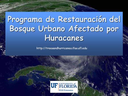 Programa de Restauración del Bosque Urbano Afectado por Huracanes