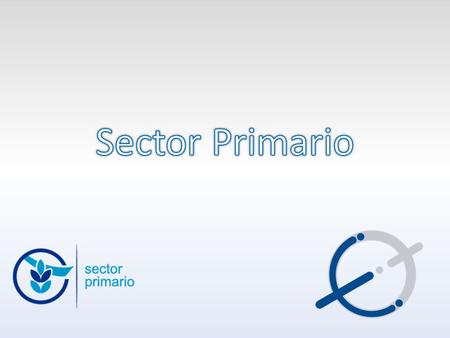 P ARTICIPANTES EN EL ESQUEMA El productor del sector primario: Es el que vende sus productos en estado natural y requiere estar inscrito en el RFC para.