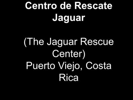 The Jaguar Animal Rescue Center in Playa Chiquita is anon-profit foundation to rehabilitate mistreated, injured and/or confiscated animals, which are then.