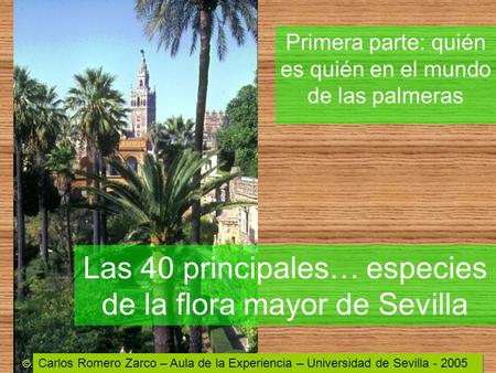 Las 40 principales… especies de la flora mayor de Sevilla