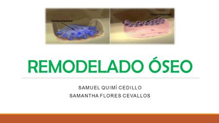 Samuel Quimí Cedillo Samantha Flores cevallos