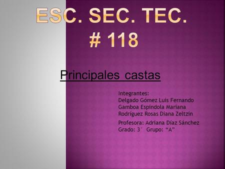 ESC. SEC. TEC. # 118 Principales castas Integrantes: