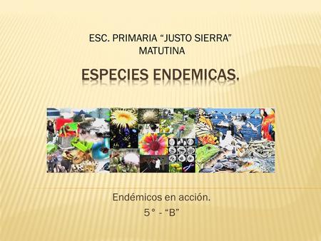 Endémicos en acción. 5° - “B” ESC. PRIMARIA “JUSTO SIERRA” MATUTINA.