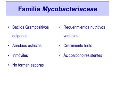 Familia Mycobacteriaceae