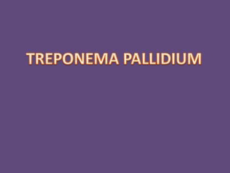 TREPONEMA PALLIDIUM.