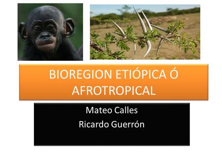 BIOREGION ETIÓPICA Ó AFROTROPICAL