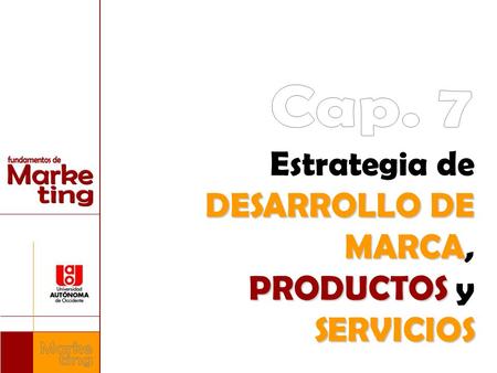 Estrategia de DESARROLLO DE MARCA, PRODUCTOS y SERVICIOS