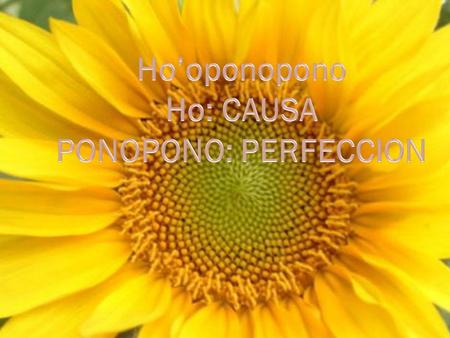 Ho’oponopono Ho: CAUSA PONOPONO: PERFECCION.