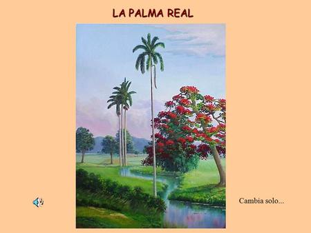LA PALMA REAL Cambia solo....