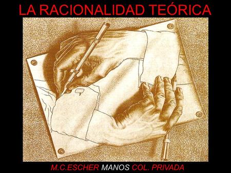 LA RACIONALIDAD TEÓRICA