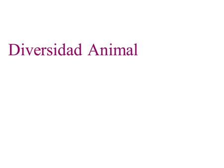 Diversidad Animal.