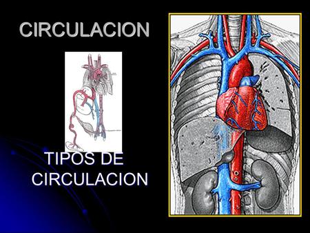 CIRCULACION TIPOS DE CIRCULACION.