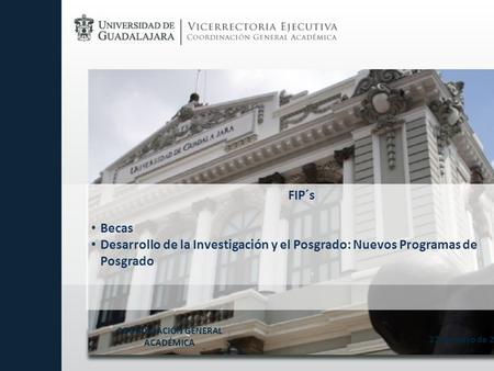 27 de mayo de 2014 COORDINACIÓN GENERAL ACADÉMICA FIP´s Becas Desarrollo de la Investigación y el Posgrado: Nuevos Programas de Posgrado.