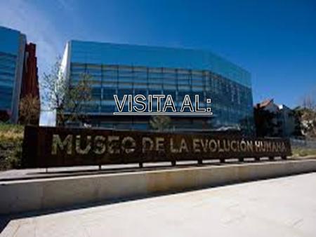 EL DÍA 28 DE ENERO, FUIMOS AL MUSEO DE LA EVOLUCIÓN HUMANA. TUVIMOS UN GUÍA MUY MAJO LLAMADO SANTIAGO PANIEGO.