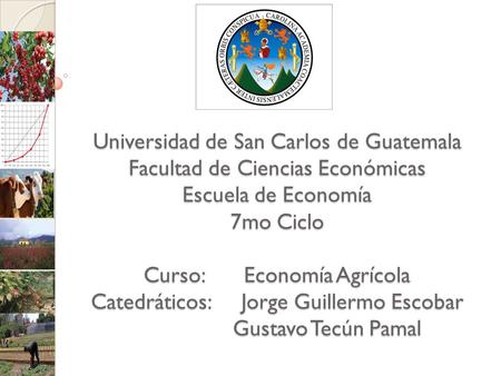 Universidad de San Carlos de Guatemala Facultad de Ciencias Económicas Escuela de Economía 7mo Ciclo Curso:	Economía Agrícola Catedráticos: 	Jorge Guillermo.