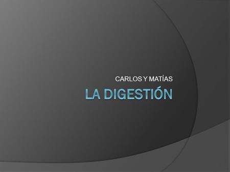 CARLOS Y MATÍAS LA DIGESTIÓN.