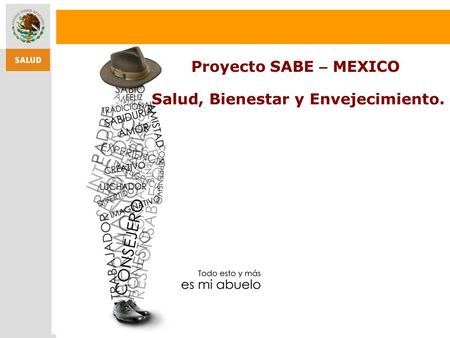 Proyecto SABE – MEXICO Salud, Bienestar y Envejecimiento.
