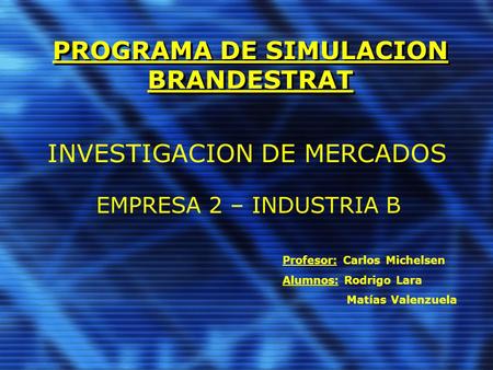 PROGRAMA DE SIMULACION BRANDESTRAT