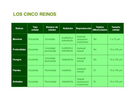 Tejidos diferenciados