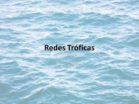 Redes Tróficas.