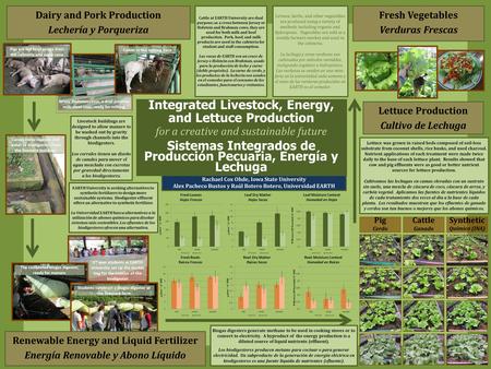 Rachael Cox Ohde, Iowa State University Alex Pacheco Bustos y Raúl Botero Botero, Universidad EARTH Lettuce Production Cultivo de Lechuga Fresh Vegetables.