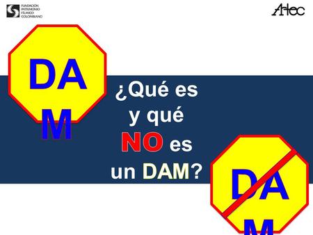 DAM ¿Qué es  y qué  NO es  un DAM? DAM.