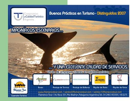 Grupo de distinguidos en Buenas Prácticas Comarca Península Valdés Qué somos? Un Cluster, un grupo de empresas con rasgos comunes y complementarios, entorno.