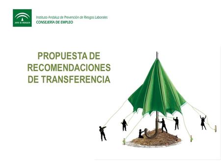 PROPUESTA DE RECOMENDACIONES DE TRANSFERENCIA. 1.Compromiso visible 2.Definir objetivos y articular planes 3.Formar supervisores y mandos 4.Promover grupos.