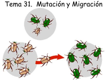 Tema 31. Mutación y Migración
