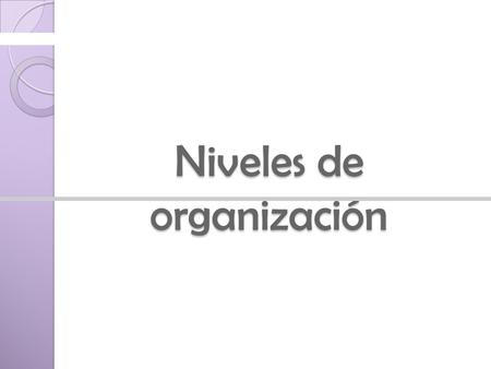 Niveles de organización