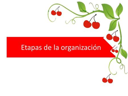 Etapas de la organización
