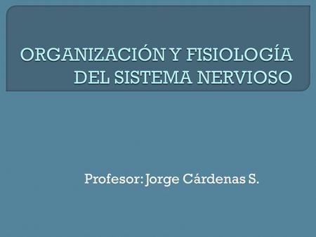 Profesor: Jorge Cárdenas S..  Neuronas y neuroglias.