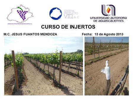 CURSO DE INJERTOS M.C. JESUS FUANTOS MENDOZA Fecha: 13 de Agosto 2013.