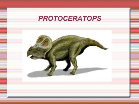 PROTOCERATOPS.