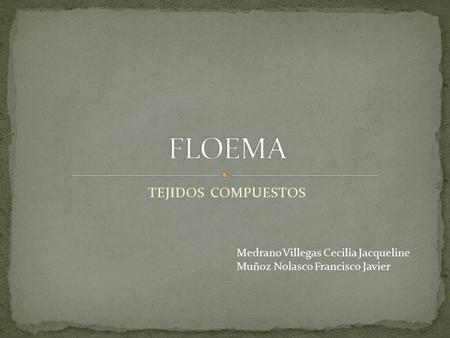 FLOEMA TEJIDOS COMPUESTOS Medrano Villegas Cecilia Jacqueline