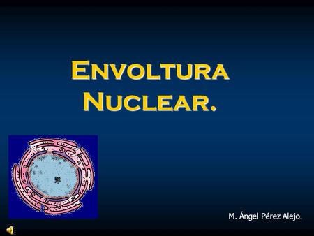 Envoltura Nuclear. M. Ángel Pérez Alejo..