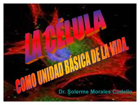 COMO UNIDAD BÁSICA DE LA VIDA.