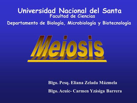Universidad Nacional del Santa