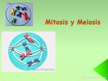 Mitosis y Meiosis Dra. María José Albuja.