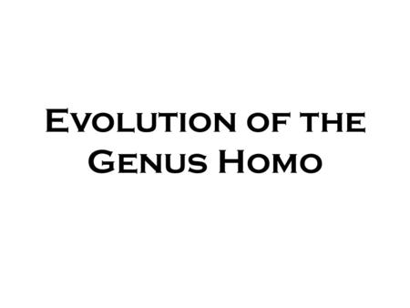 Evolution of the Genus Homo Evolutionary Turning Points Bipedismo: definición de función homínidos fabricación de piedra herramientas – carne comer –