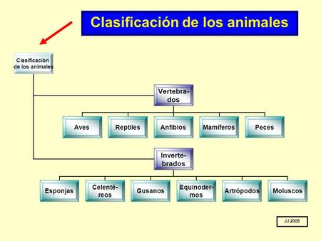 Clasificación de los animales