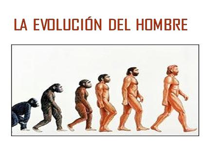 LA EVOLUCIÓN DEL HOMBRE
